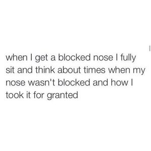 blockednose.jpg