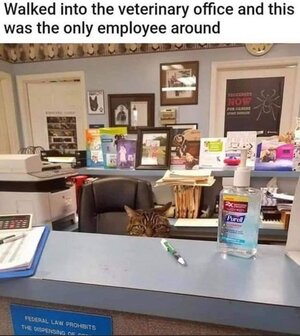 veterinaryoffice.jpg