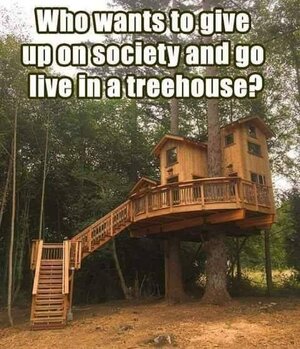 treehouse.jpg