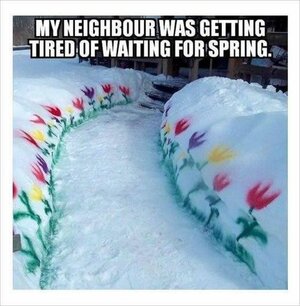 springsnow.jpg