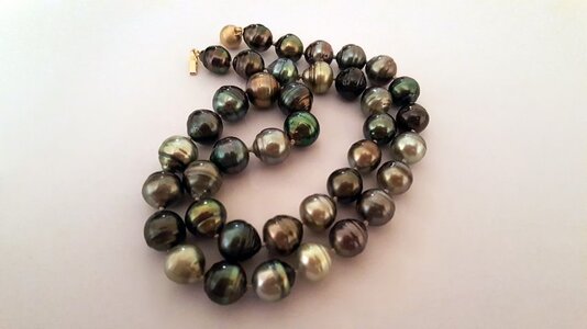 Multi colored Tahitian Pearls Pearl Paradise.jpg