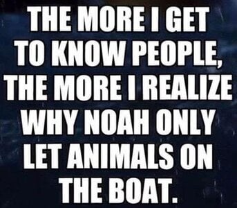 noah.jpg