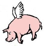 flying pig.jpg