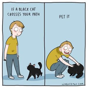 blackcatpet.jpg