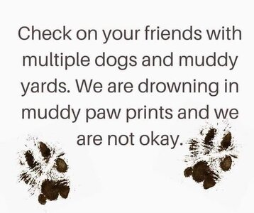 muddypaws.jpg