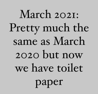 toiletpaper.jpg