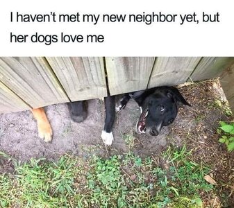 newneighbors.jpg