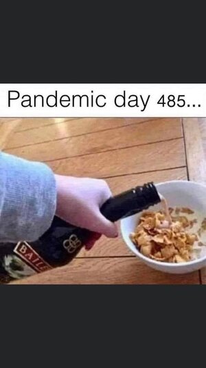 pandemicday485.jpg