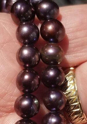 Purple Pearls 4-20-21 - 2.jpg