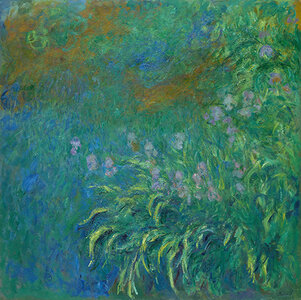 Claude-Monet-Irises-AIC-7266.jpg