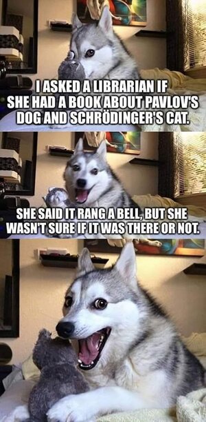 pavlov'sdogschrodinger'scat.jpg