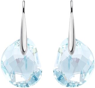 Swarovski earrings.jpg