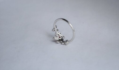 Namya Ivy ring 2.jpg