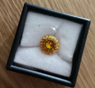 ebay yellow lab sapphire.jpg