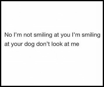 smilingatyourdognotyou.jpg