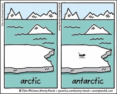 arctic.jpg