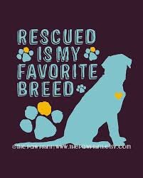 rescuedmyfavoritebreed.jpg