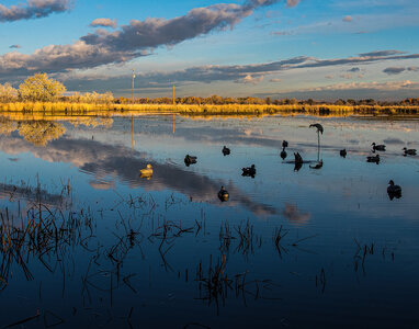 Sunrise on Center Pond-1480.jpg