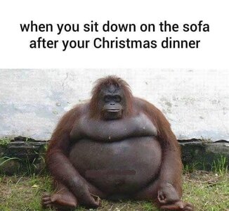 afterxmasdinner.jpg