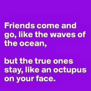 truefriendsarelikeoctopusesonyourface.jpg