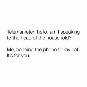 telemarketer.jpg