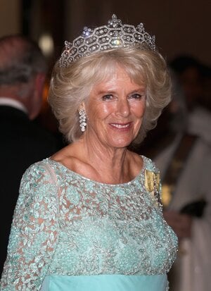 camilla-duchess-of-cornwall-attends-the-chogm-dinner-at-the-news-photo-1573441418.jpg