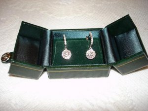 030 earrings 1.jpg