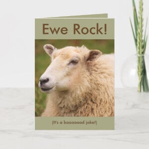 ewe_rock_sheep_birthday_card-r38b514e37f834ebfb7e1586a86ff037a_udffh_307.jpg