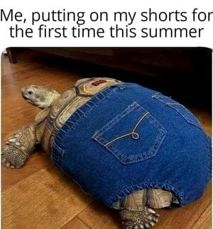 shorts.jpg