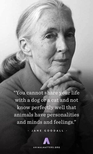 janegoodall.jpg