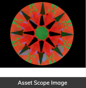 ASSET SCOPE (1).png