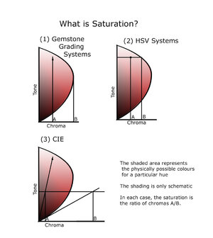 Saturation_edited-1.jpg