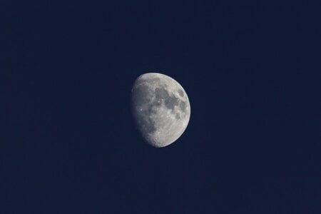 Gibbous moon.jpg