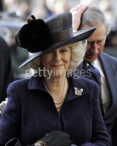 Camilla-diamondbutterflybrooch.jpg