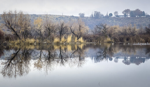 Duck club on a rainy day-1.jpg