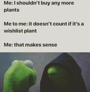 plant-and-gardening-memes-16.jpg