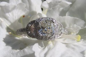 ring on flower1.jpg