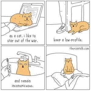 catcartoon.jpg