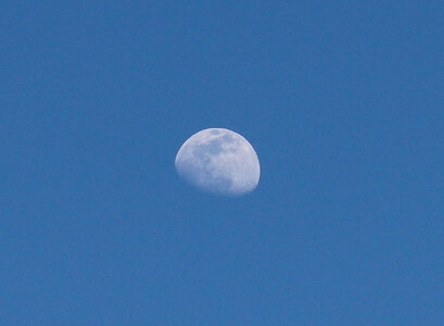 Waxing gibbous 4-30-23.jpg