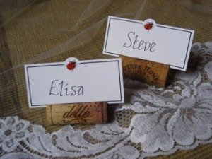 place cards.jpg