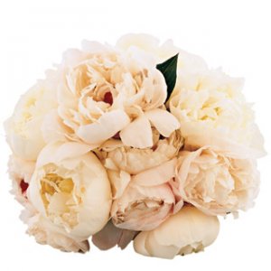 BouqPeonies.jpg