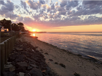 ourbeachbackyard.png