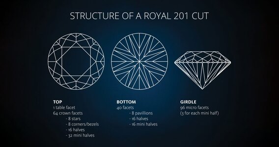 07.-D-Royal-201-outline-royal-201-2-1024x541-1.jpg