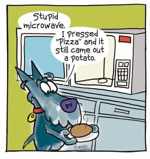 stupidmicrowave.jpg