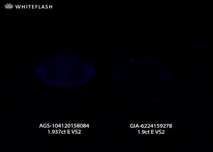 Compare_Fluoresence_1.937-1.9_Tray.jpg