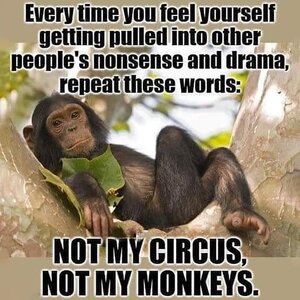 notmycircusnotmymonkeys.jpg