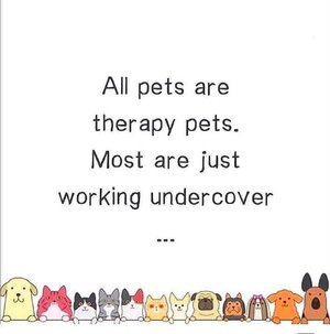 therapypets.jpg