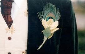 peacock feather boutoniere.jpg