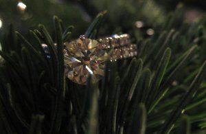 xmas diamond 07 f.jpg