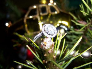 Xmas tree ring 021.jpg